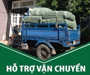 HỖ TRỢ VẬN CHUYỂN